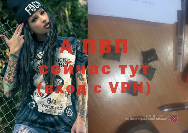 спиды Беломорск