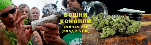 каннабис Белокуриха