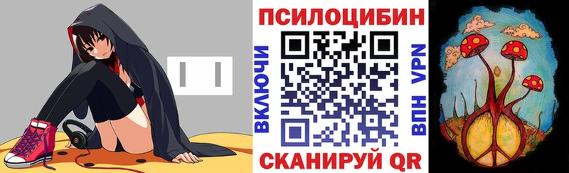 Псилоцибиновые грибы мицелий  omg сайт  маркетплейс какой сайт  Красавино 